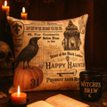 CURIO CUSHION CASE